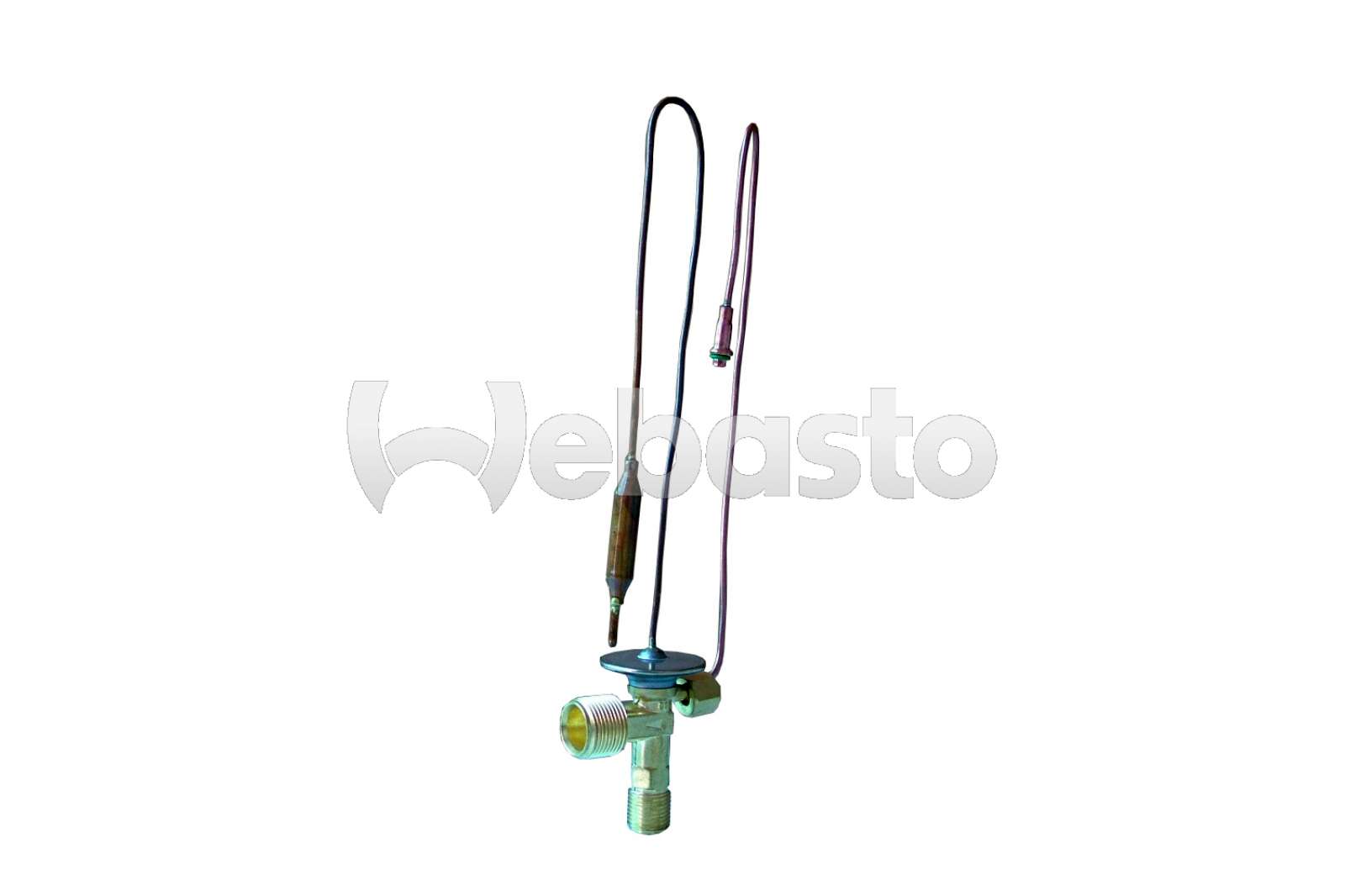 tsp0585066